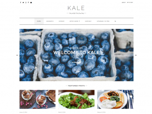 KalePro WordPress Theme Review
