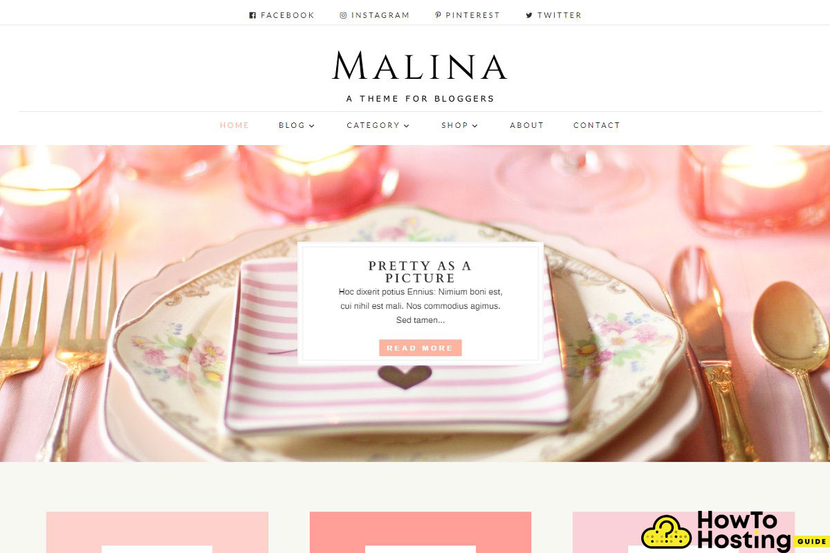 Malina WordPress Theme Review image