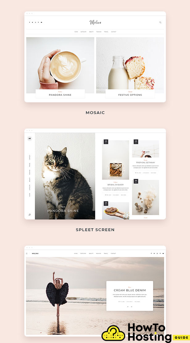Malina website theme features image