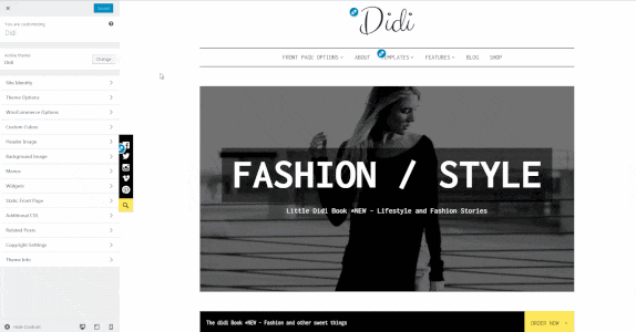 Didi WordPress Theme installation image