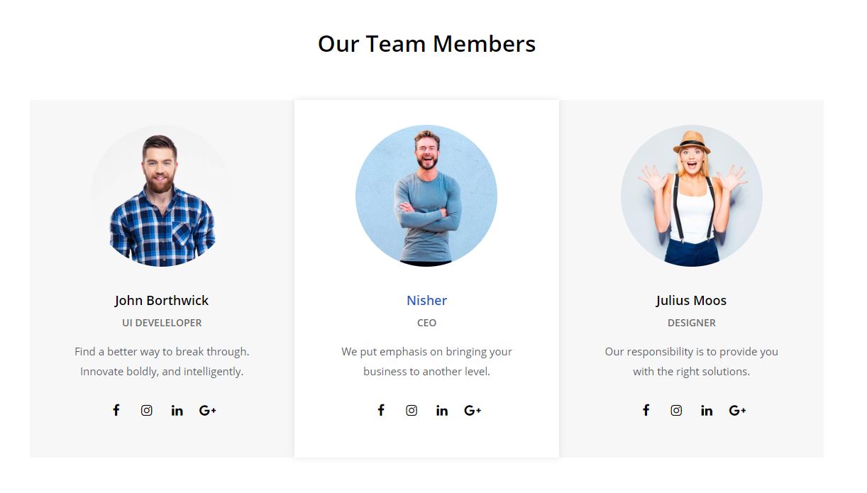team members feature in monstroid theme