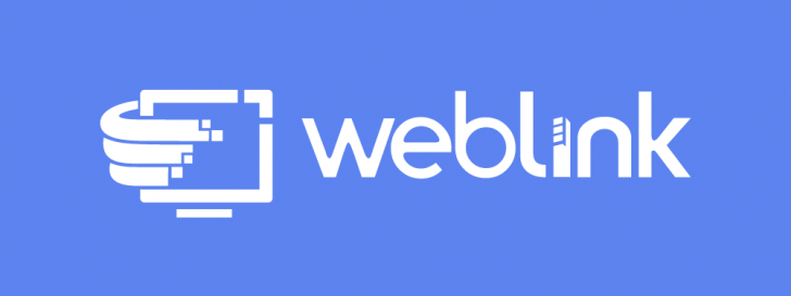 weblink br hosting logo image