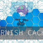 Varnish cache article image