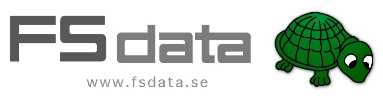 FS DATA hosting logo image