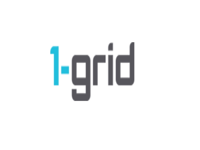 1-Grid hosting logo image