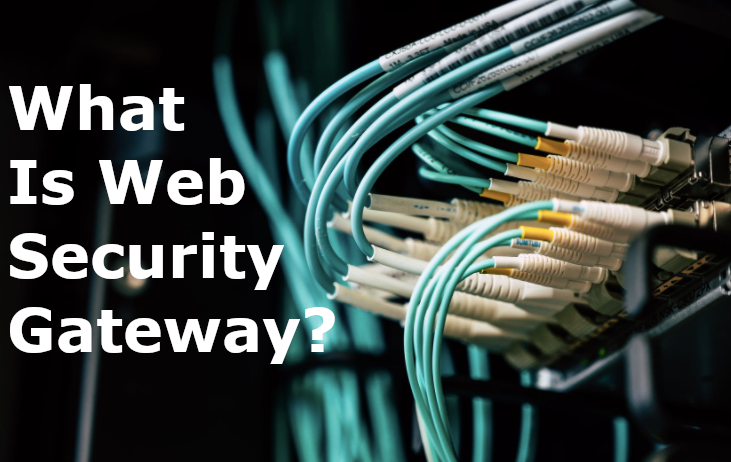 What Is а Web Security Gateway? article image