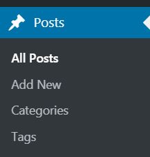 posts button in wordpress