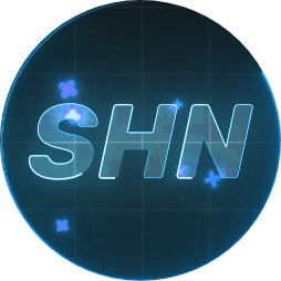 Silver Hosting Network, LLC